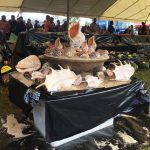 Cultural Activities Tonga - Agricultural Show 8