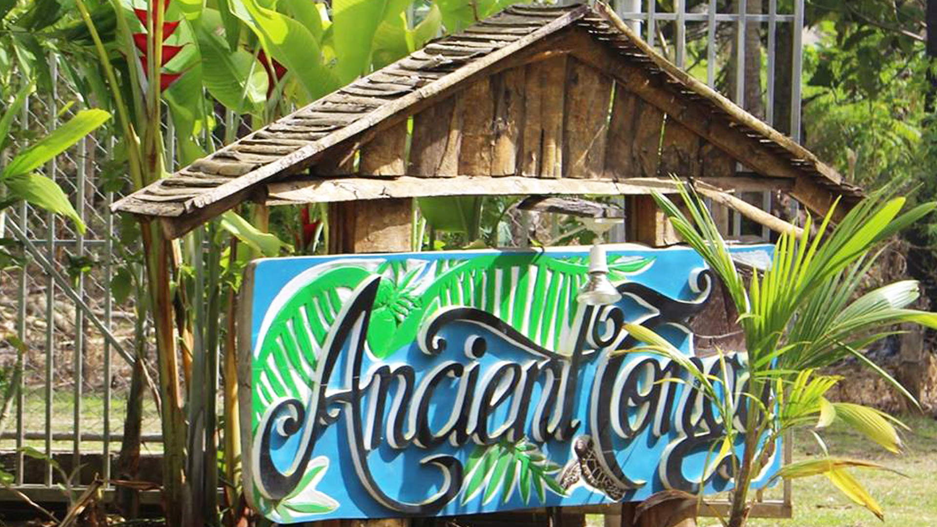 Ancient Tonga - Tours