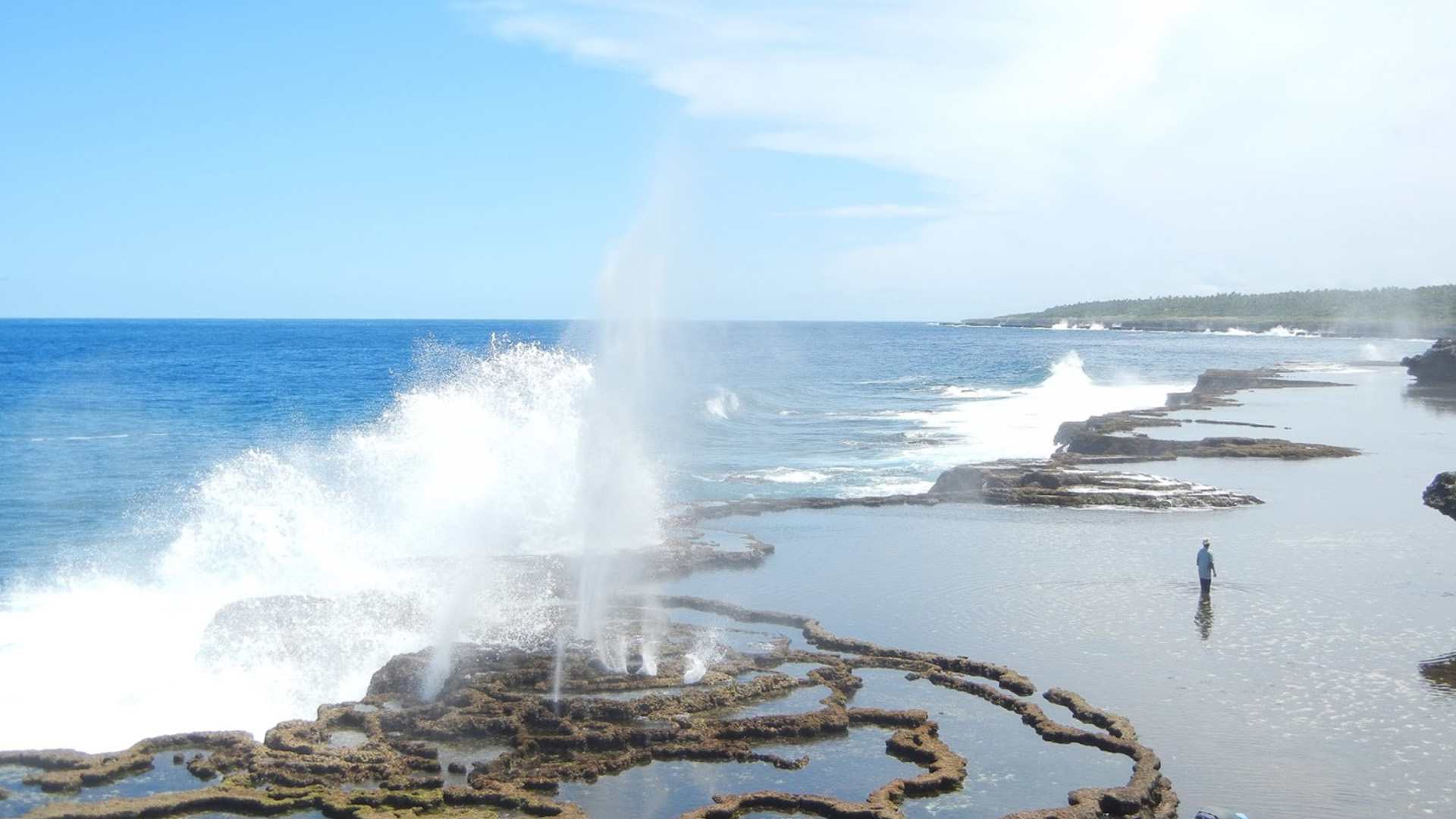 Blowholes Tonga