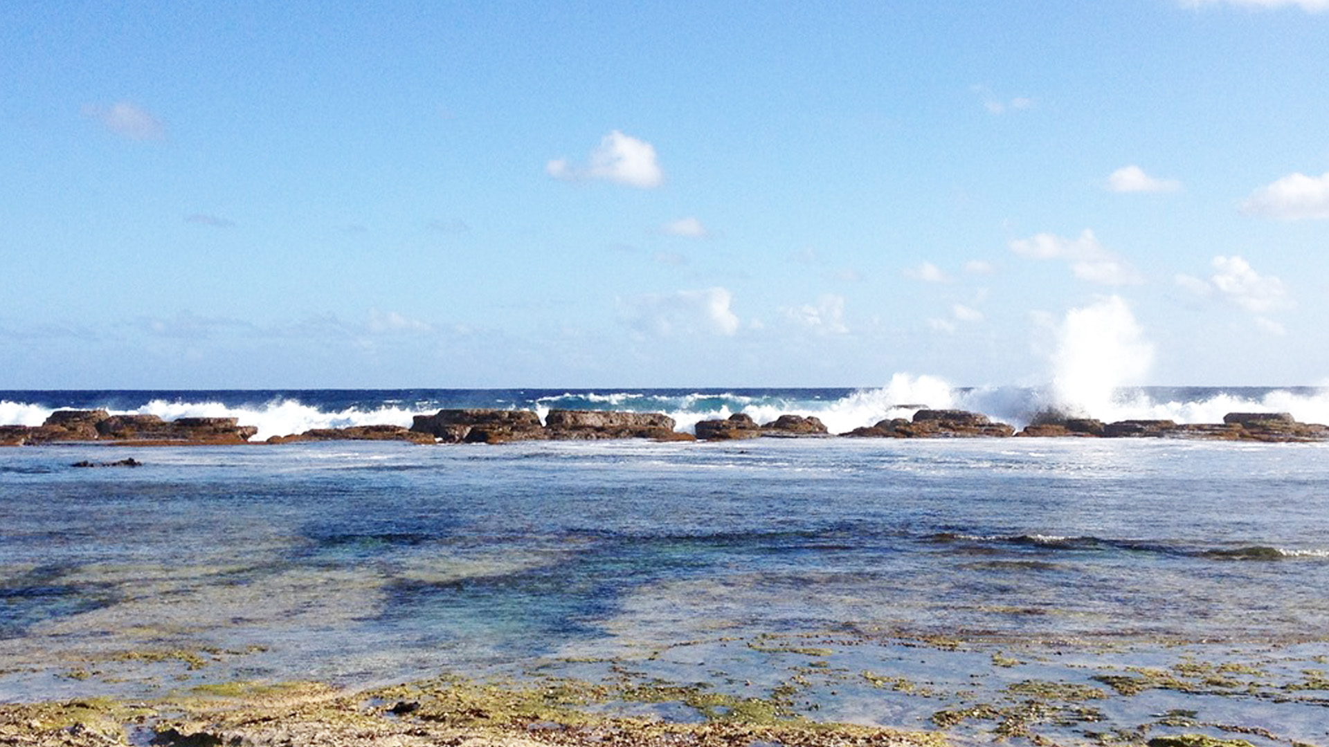 Tongatapu Swimming